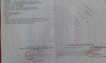 CHÍNH CHỦ Cần Bán 2 Lô Liền Kề Khu Đô Thị Cát Tường, Phường 5, TP Vị Thanh, Hậu Giang