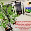 Chính chủ cần bán nhanh căn nhà vị trí đẹp- giá tốt tại quận Cầu Giấy, TP Hà Nội