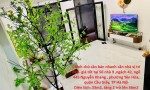Chính chủ cần bán nhanh căn nhà vị trí đẹp- giá tốt tại quận Cầu Giấy, TP Hà Nội