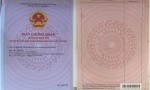 ĐẤT SIÊU ĐẸP + GIÁ ĐẦU TƯ Chính Chủ Cần Bán Lô Đất Vị Trí Đẹp Tại Phường Cát Lái TP Thủ Đức