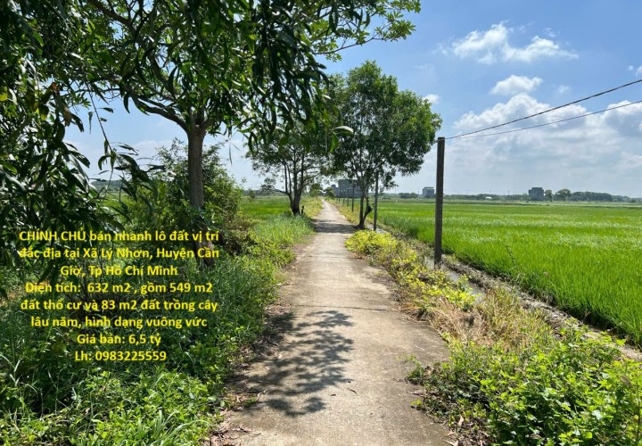 CHÍNH CHỦ bán nhanh lô đất vị trí đắc địa tại Xã Lý Nhơn, Huyện Cần Giờ, Tp Hồ Chí Minh