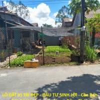LÔ ĐẤT VỊ TRÍ ĐẸP - ĐẦU TƯ SINH LỜI - Cần Bán Đất Xã Hòa Long, Lai Vung, Đồng Tháp