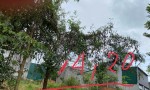CHÍNH CHỦ Cần Bán Lô Đất Tại Đường Y Wang, Phường Ea Tam, Thành phố Buôn Ma Thuột, Đắk Lắk