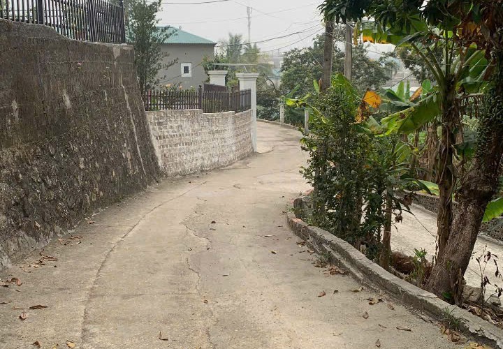 ĐẤT CHÍNH CHỦ - GIÁ TỐT - Cần Bán Gấp Đất Cẩm Thịnh, Cẩm Phả ,Quảng Ninh (sau trạm thu phí cọc 7)