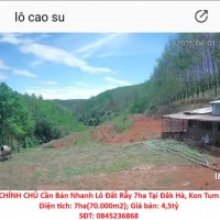 CHÍNH CHỦ Cần Bán Nhanh Lô Đất Rẫy 7ha Tại Đăk Hà, Kon Tum