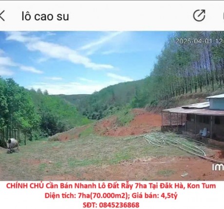 CHÍNH CHỦ Cần Bán Nhanh Lô Đất Rẫy 7ha Tại Đăk Hà, Kon Tum