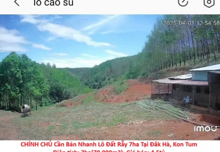 CHÍNH CHỦ Cần Bán Nhanh Lô Đất Rẫy 7ha Tại Đăk Hà, Kon Tum