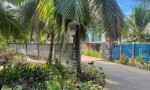ĐẤT ĐẸP - GIÁ TỐT - Cần Bán Nhanh Lô Đất Vị Trí Đắc Địa  Tại Phước Thạnh, Châu Thành, Bến Tre