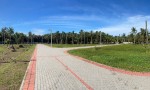 ĐẤT ĐẸP - GIÁ TỐT - Cần Bán Nhanh Lô Đất Vị Trí Đắc Địa  Tại Phước Thạnh, Châu Thành, Bến Tre
