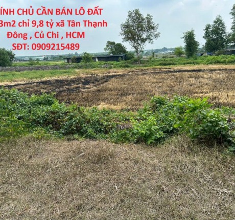 CHÍNH CHỦ CẦN BÁN LÔ ĐẤT 3763m2 chỉ 9,8 tỷ xã Tân Thạnh Đông , Củ Chi , HCM