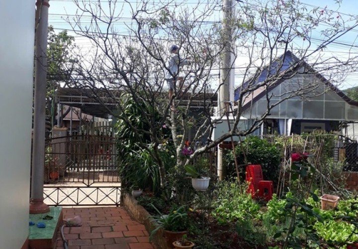 CHÍNH CHỦ CẦN BÁN NHANH 3 LÔ ĐẤT TẠI Quảng Hiệp, Hiệp Thạnh, Đức Trọng, Lâm Đồng - GIÁ SIÊU RẺ