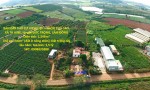 BÁN ĐẤT THỔ CƯ VIEW ĐẸP – THÔN PHÚ CAO, XÃ TÀ HINE, Huyện ĐỨC TRỌNG, LÂM ĐỒNG