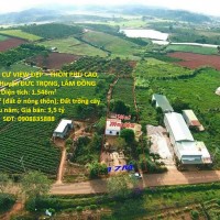 BÁN ĐẤT THỔ CƯ VIEW ĐẸP – THÔN PHÚ CAO, XÃ TÀ HINE, Huyện ĐỨC TRỌNG, LÂM ĐỒNG