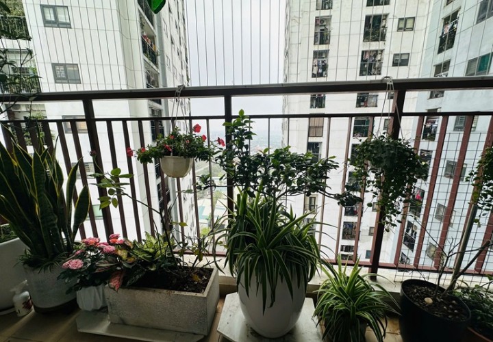 CHÍNH CHỦ CẦN BÁN NHANH CĂN GÓC Toà B - Hateco Hoàng Mai, P.Yên Sở, Hoàng Mai, TP Hà Nội