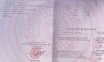 Nhà Đẹp – Cần Bán Nhanh Biệt Thự 2 Tầng Tại xã Đông Ninh huyện Đông Sơn, tỉnh Thanh Hóa