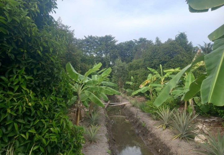 VỊ TRÍ ĐẸP - ĐẦU TƯ SINH LỜI - Cần Bán Đất Chính Chủ Tại Phường An Thạnh, Thuận An, Bình Dương