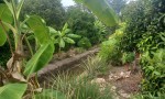 VỊ TRÍ ĐẸP - ĐẦU TƯ SINH LỜI - Cần Bán Đất Chính Chủ Tại Phường An Thạnh, Thuận An, Bình Dương