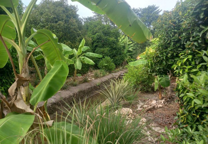 VỊ TRÍ ĐẸP - ĐẦU TƯ SINH LỜI - Cần Bán Đất Chính Chủ Tại Phường An Thạnh, Thuận An, Bình Dương