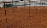Chính Chủ Cần Bán Lô Đất Vị Trí Đẹp Tại  phường 11, TP. Đà Lạt,  Lâm Đồng