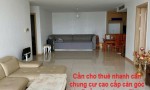 Cần cho thuê nhanh căn chung cư cao cấp Thăng Long Number One view đẹp tại quận Cầy Giấy, TP Hà Nội