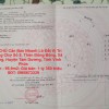 CHÍNH CHỦ Cần Bán Nhanh Lô Đất Vị Trí Đẹp trong Chợ Số 8, Kim Long ,Huyện Tam Dương,Vĩnh Phúc