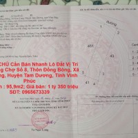 CHÍNH CHỦ Cần Bán Nhanh Lô Đất Vị Trí Đẹp trong Chợ Số 8, Kim Long ,Huyện Tam Dương,Vĩnh Phúc