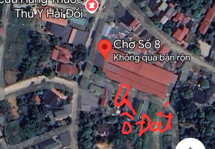 CHÍNH CHỦ Cần Bán Nhanh Lô Đất Vị Trí Đẹp trong Chợ Số 8, Kim Long ,Huyện Tam Dương,Vĩnh Phúc