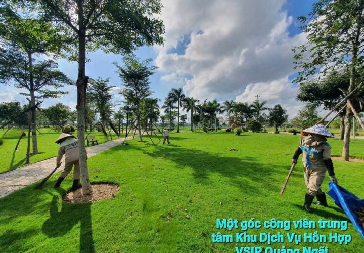 Cần Bán Lô Đất Đẹp Khu Dịch Vụ Hỗn Hợp VSIP – Đường Quốc Lộ 1A, Xã Tịnh Phong, Sơn Tịnh, Quảng Ngãi