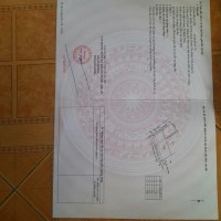 ĐẤT CHÍNH CHỦ - GIÁ TỐT - Ấp 4A, Xã Tân Trạch, Huyện Cần Đước, Long An