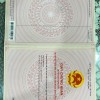 Sở Hữu Ngay ĐẤT CHÍNH CHỦ Tại Ấp 4A, Xã Tân Trạch, Huyện Cần Đước, Long An