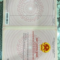 Sở Hữu Ngay ĐẤT CHÍNH CHỦ Tại Ấp 4A, Xã Tân Trạch, Huyện Cần Đước, Long An