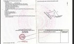 Chính Chủ Cần Bán Lô Đất Mặt Tiền Tại Ấp 4A, Xã Tân Trạch, Huyện Cần Đước, Long An