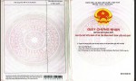 Chính Chủ Cần Bán Lô Đất Mặt Tiền Tại Ấp 4A, Xã Tân Trạch, Huyện Cần Đước, Long An