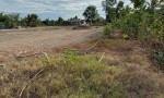 ĐẤT CHÍNH CHỦ - GIÁ TỐT - Ấp 4A, Xã Tân Trạch, Huyện Cần Đước, Long An