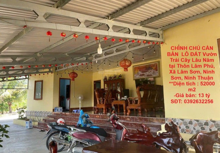 CHÍNH CHỦ CẦN BÁN  LÔ ĐẤT Vườn Trái Cây Lâu Năm  tại Thôn Lâm Phú, Xã Lâm Sơn, Ninh Sơn, Ninh Thuận