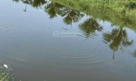 CHÍNH CHỦ CẦN BÁN  LÔ ĐẤT Vườn Trái Cây Lâu Năm  tại Thôn Lâm Phú, Xã Lâm Sơn, Ninh Sơn, Ninh Thuận