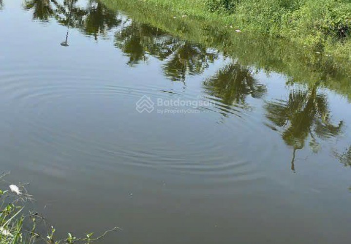 CHÍNH CHỦ CẦN BÁN  LÔ ĐẤT Vườn Trái Cây Lâu Năm  tại Thôn Lâm Phú, Xã Lâm Sơn, Ninh Sơn, Ninh Thuận