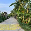 Chính Chủ Cần Bán Lô Đất Vị Trí Đẹp Lô hậu tân thạnh Tây, Phường Ba Láng, Q. Cái Răng, Cần Thơ