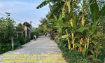 Chính Chủ Cần Bán Lô Đất Vị Trí Đẹp Lô hậu tân thạnh Tây, Phường Ba Láng, Q. Cái Răng, Cần Thơ