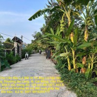 Chính Chủ Cần Bán Lô Đất Vị Trí Đẹp Lô hậu tân thạnh Tây, Phường Ba Láng, Q. Cái Răng, Cần Thơ