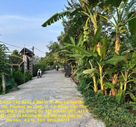 Chính Chủ Cần Bán Lô Đất Vị Trí Đẹp Lô hậu tân thạnh Tây, Phường Ba Láng, Q. Cái Răng, Cần Thơ