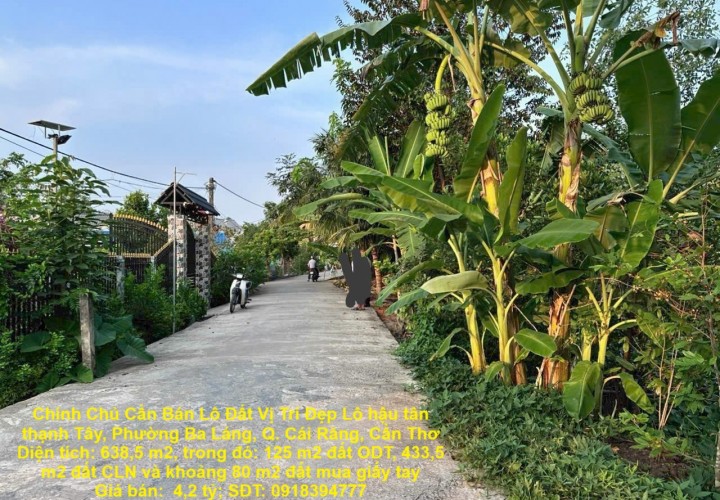 Chính Chủ Cần Bán Lô Đất Vị Trí Đẹp Lô hậu tân thạnh Tây, Phường Ba Láng, Q. Cái Răng, Cần Thơ