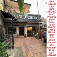 CẦN BÁN NHANH CĂN NHÀ PHỐ LÒ ĐÚC, Phường Bạch Đằng, Quận Hai Bà Trưng, Hà Nội