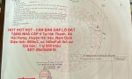 HOT HOT HOT - CẦN BÁN GẤP LÔ ĐẤT TẶNG NHÀ CẤP 4 Tại Hải Thanh, Xã Hải Hưng ,Huyện Hải hậu ,Nam Định