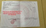 Chính Chủ Cần Bán Gấp Đất Mặt Tiền Tại Xã Long Phước, Long Hồ, Vĩnh Long