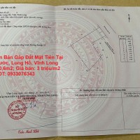 Chính Chủ Cần Bán Gấp Đất Mặt Tiền Tại Xã Long Phước, Long Hồ, Vĩnh Long