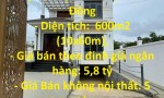 GẤP! Cần Bán Nhanh Villa Nghỉ Dưỡng Vị Trí Đẹp Tại Lộc Nam, Bảo Lâm, Lâm Đồng