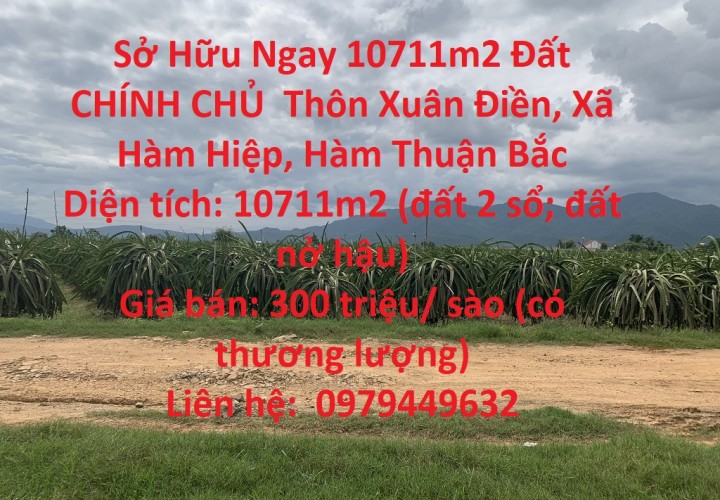 Sở Hữu Ngay 10711m2 Đất CHÍNH CHỦ  Thôn Xuân Điền, Xã Hàm Hiệp, Hàm Thuận Bắc