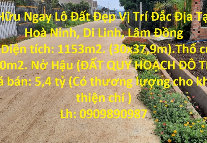 Sở Hữu Ngay Lô Đất Đẹp Vị Trí Đắc Địa Tại Xã Hoà Ninh, Di Linh, Lâm Đồng