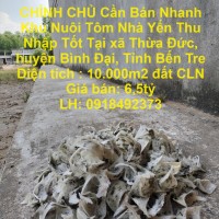 CHÍNH CHỦ Cần Bán Nhanh Khu Nuôi Tôm Nhà Yến Thu Nhập Tốt Tại Thừa Đức Bến Tre